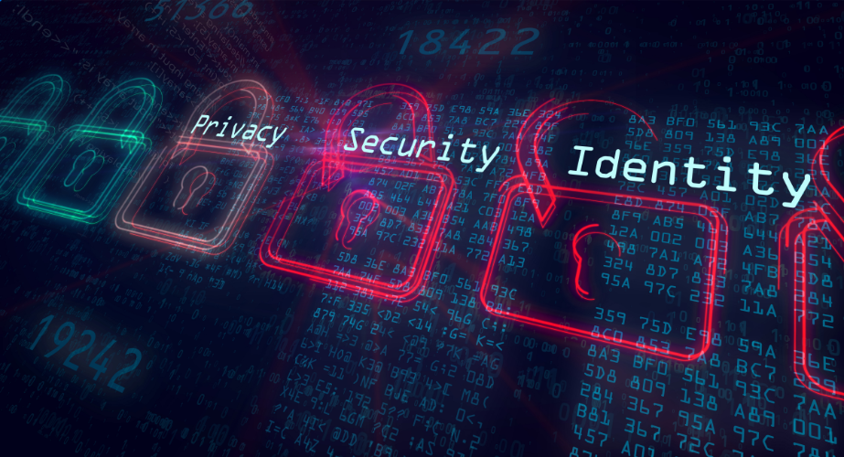 Onsite Security Audit Image